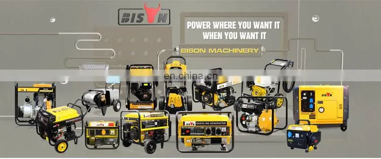 BISON CHINA 2kw Low noise Generator Small 60hz Three Phase 240v 2000 watt Gasoline Generator Price