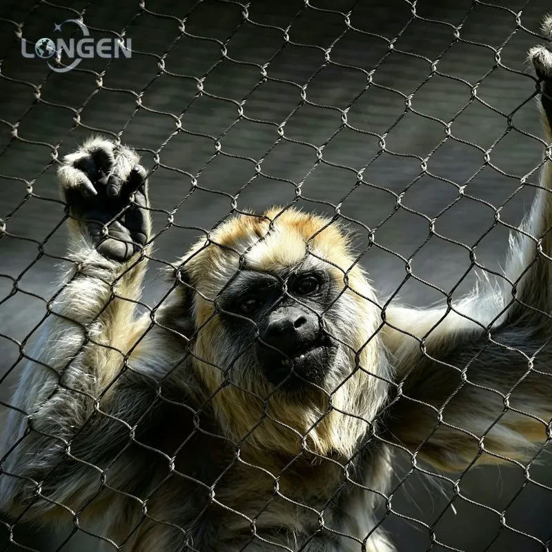 Monkey Enclosure Mesh