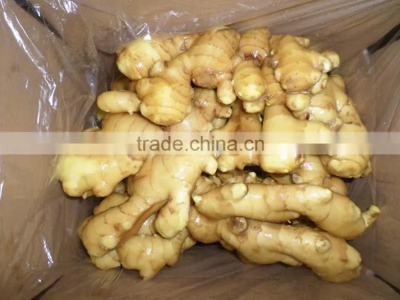 fresh ginger 2015new crop