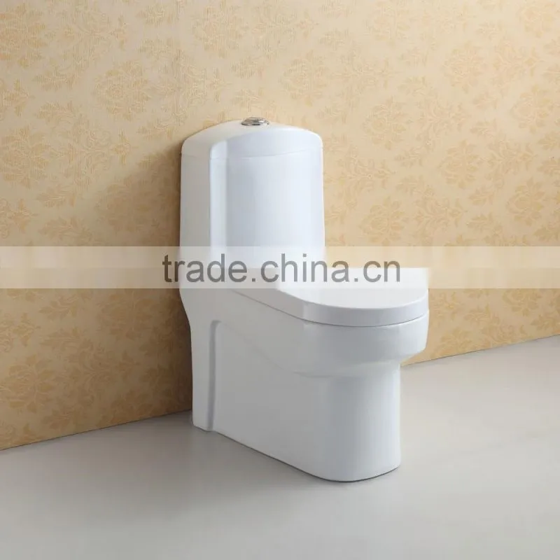 S Trap Floor Mounted One Piece Ceramic Water Closet