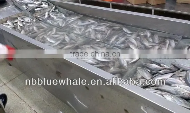 New Ningbo frozen fish brand canned mackerel