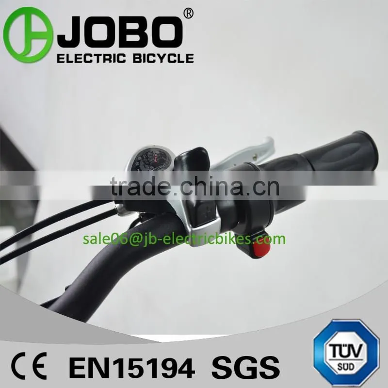 CE TUV Approved 36V 250 Watt Brushless Electric Bike Folding Design