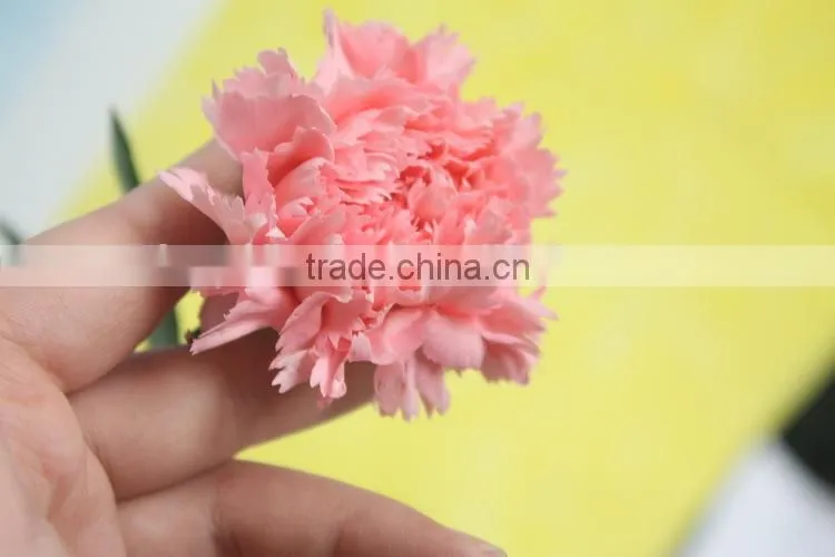 Exquisite factory direct flower head carnation