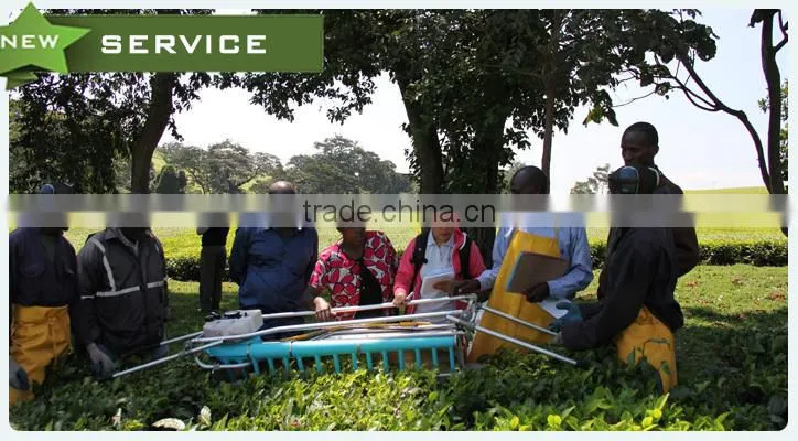 Hot Sale Two-man Tea Picking Machine for Sale