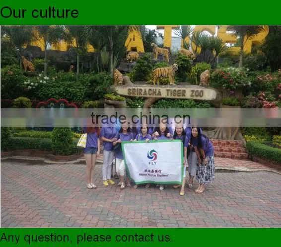best selling new high quality R10 85*200 promotion display roll up