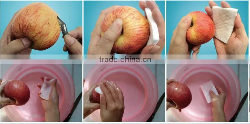 looking for distributor in indonesia vegetable nano cleaning sponge
