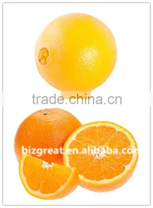 We are supply Fresh Navel Orange with good quality for sale