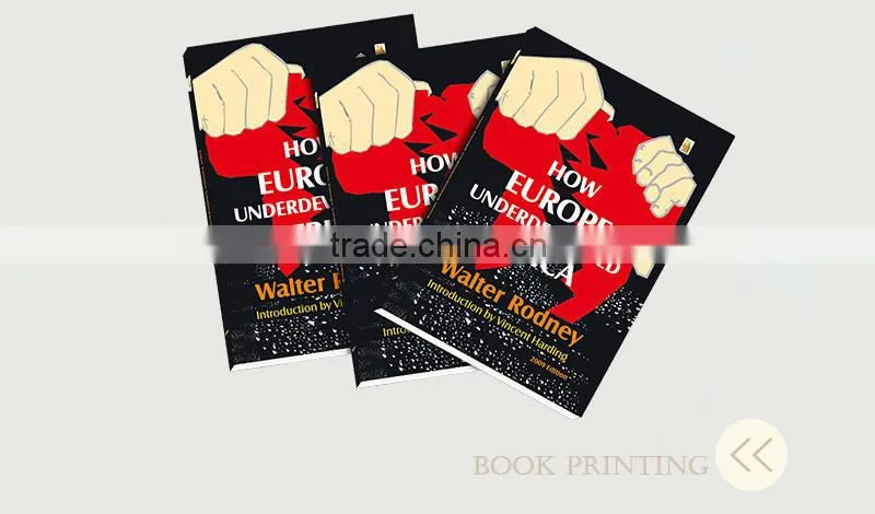 Novel story childrens book