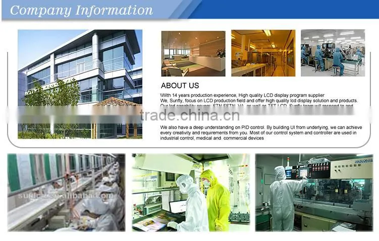 Ali Supplier 160x160 FSTN lcd module small LCD display