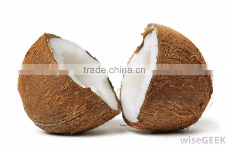 Matured coconuts