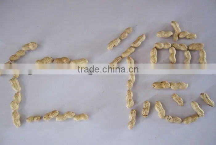 Blanched peanut kernels 2 x 12.5kgs vaccum packing