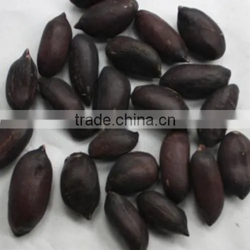 Competitive Price Of White/Red/Pink/Black Peanut Seed For Sale/Planting