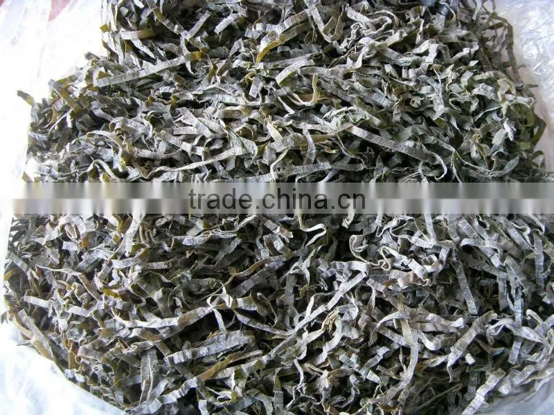 DRIED SEAWEED KELP