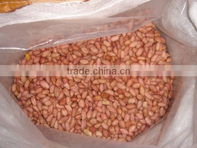 Shandong peanut kernels luhua 24/28