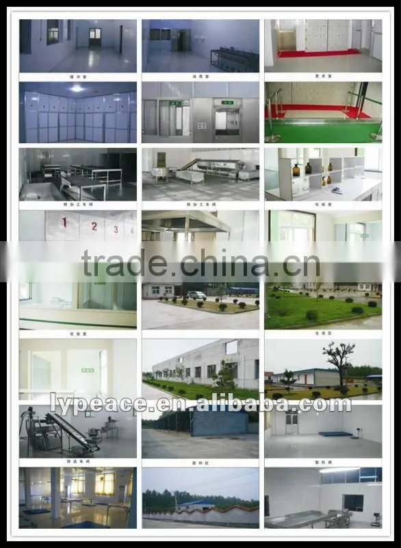 2012 popular dried beet granules/powder