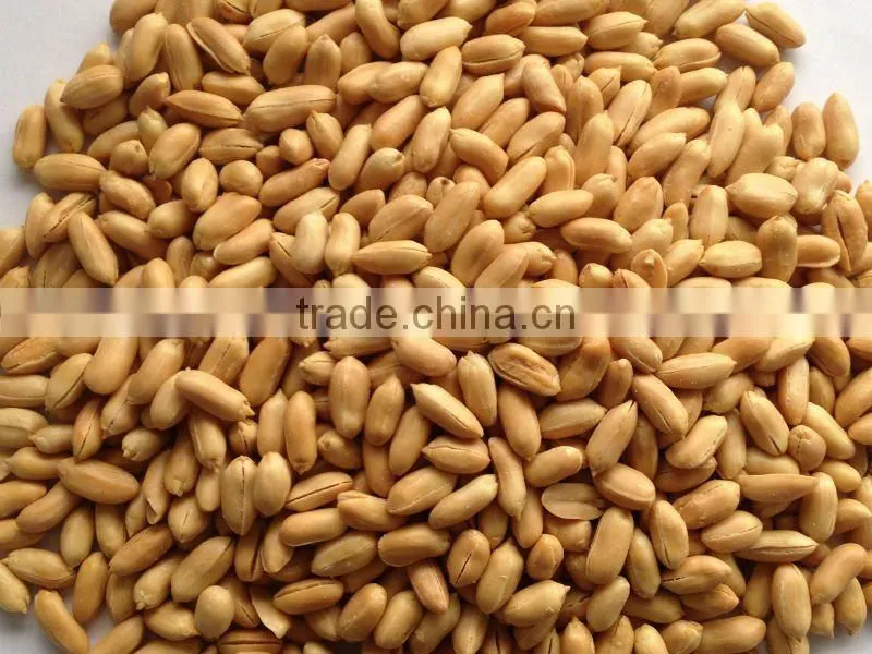 FRIED Peanut