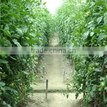 Guangzhou Lead You Seed Co., Ltd. company overview - view 3