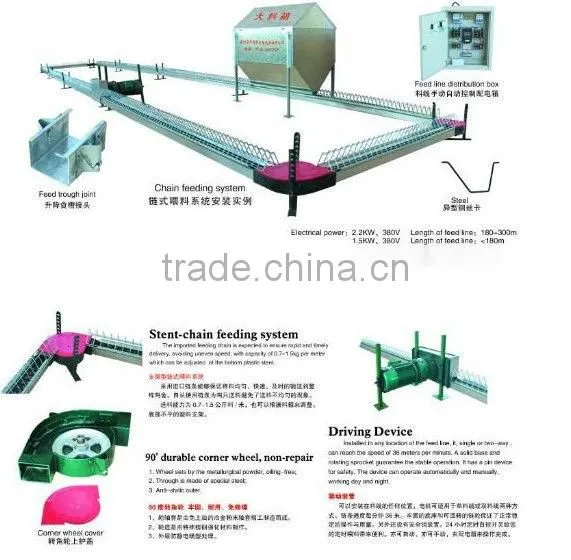 automatic chain style feeder conveyor system for breeder