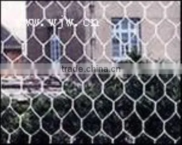 Galvanized and PVC coated chicken net