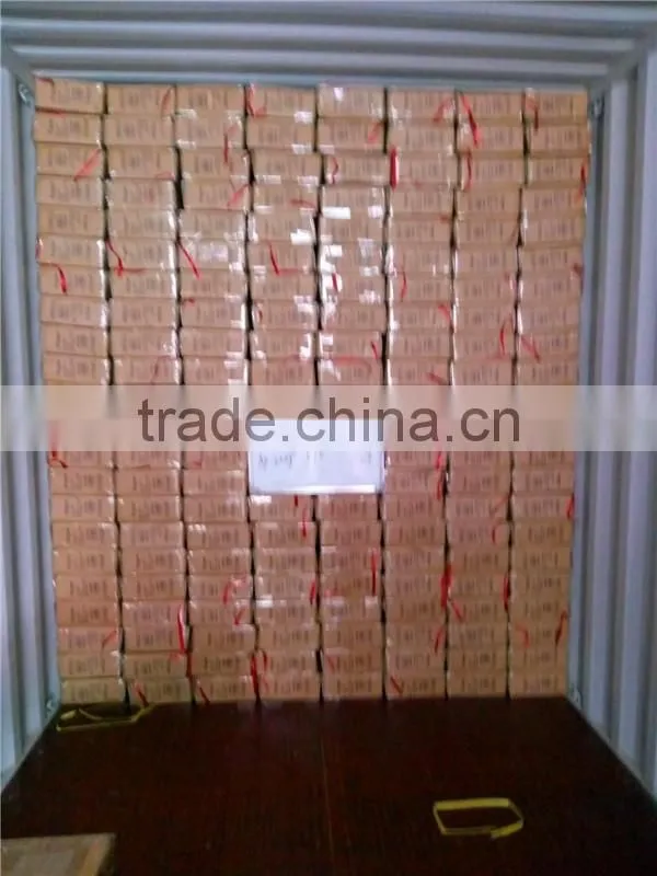 Popular Reflective Mylar Grow Tent For Hydroponic Dark Romm Use 100*100*200cm