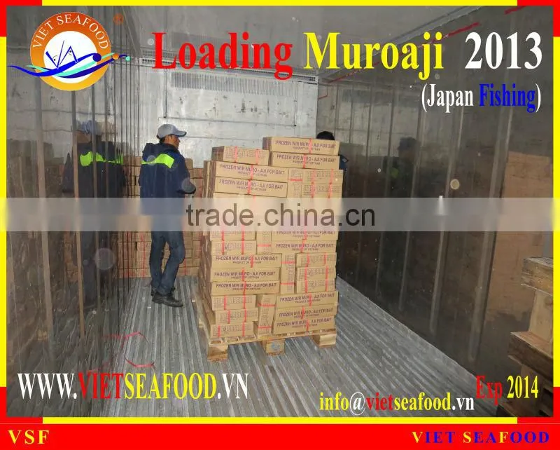 LOADING MUROAJI FOR TUNA BAIT
