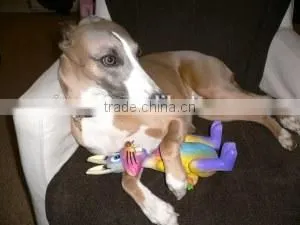 Plush pet toy for dog with squeaker