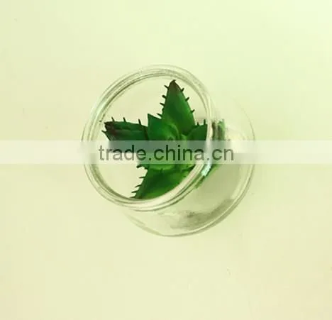 Hanging Glass succulents terrarium mini artificial plants for home decoration