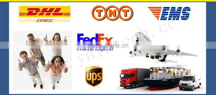 luggage tie down straps in ratchet tie down cam buckle with hooks and rings best price by China manufacturer