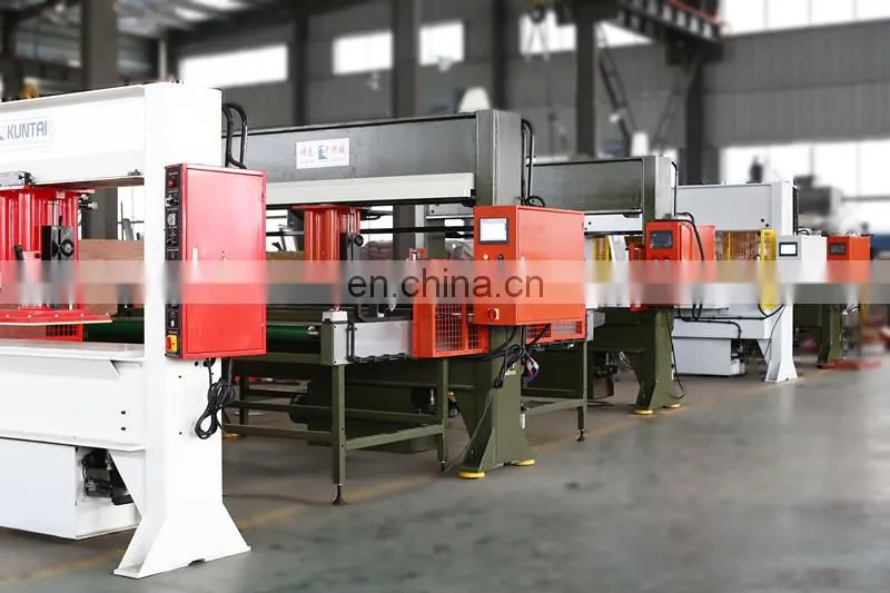 Automatic Travel Head Die Cutting Machine/Leather, EVA, TPU Die Cutting Press