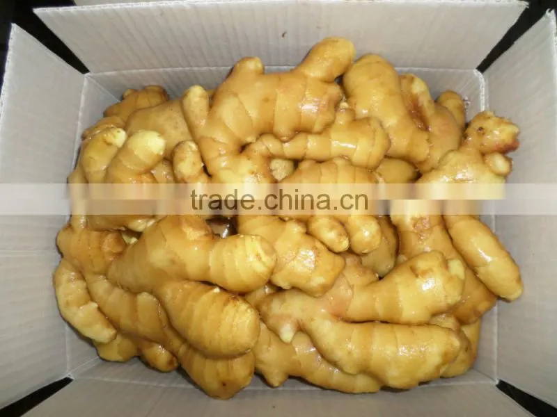 2015 new crop Shandong fresh ginger