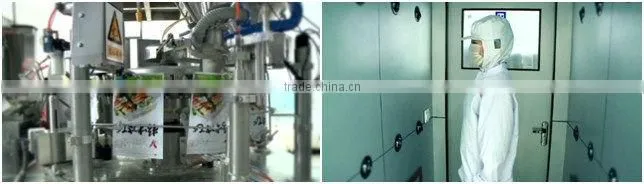 Wasabi powder high quality factory price