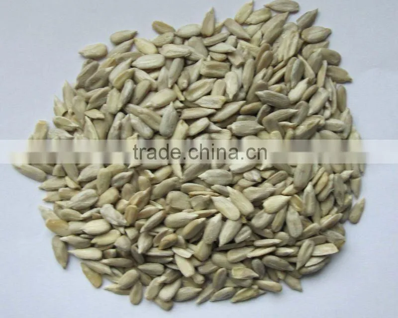 sunflower seed kernel