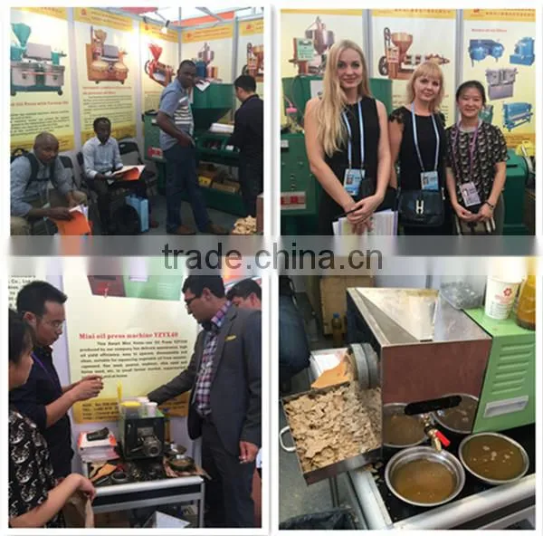 Economical Vegetable Seeds Oil Press Machine YZYX90-2