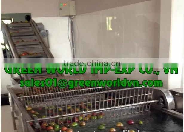 HOT SELL IQF PASSION FRUIT PUREE FROM VIETNAM