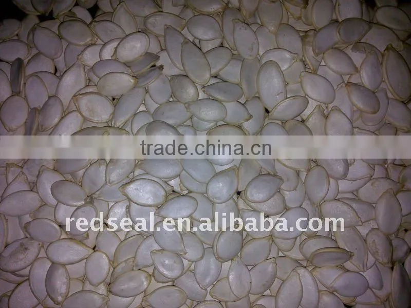 Shin skin pumpkin seeds