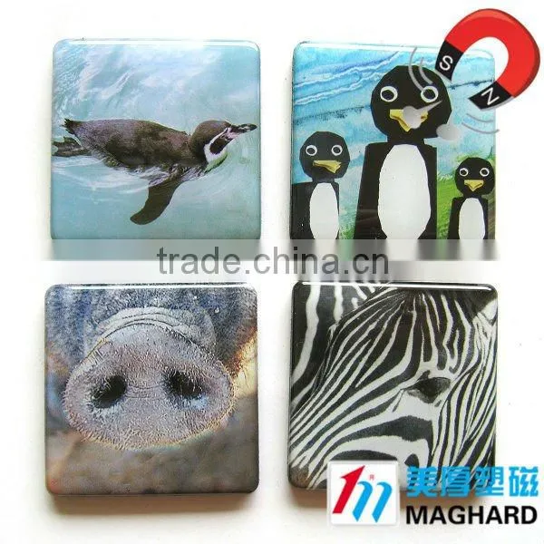 animal protection tiger paws Magnetic Epoxy Gift promotional item personalized fridge magnet