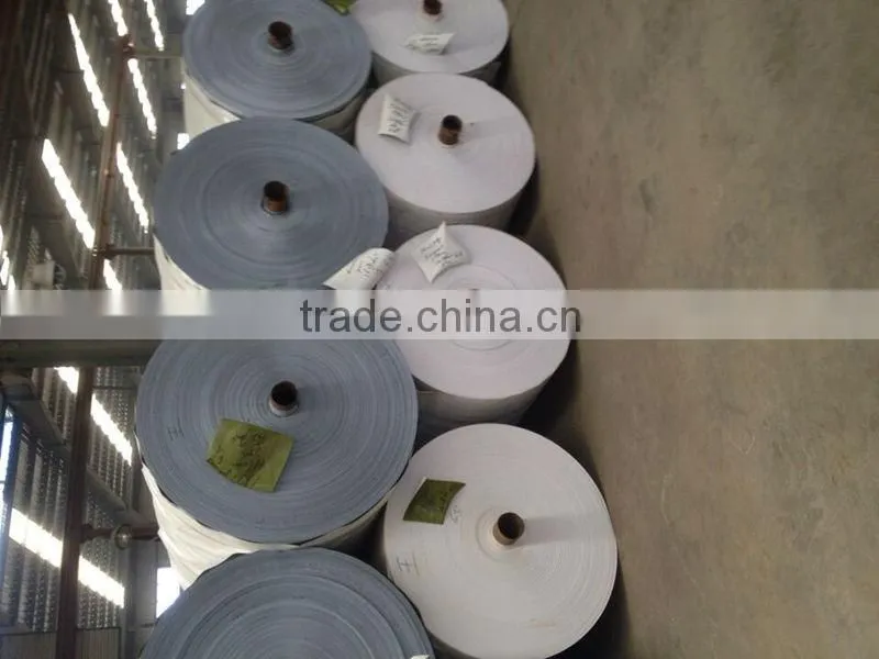 Blue/Silver PP Plastic Laminating Tarps Sheets Tarpaulin Plastic Sheet with All Specifications China Manufacturing