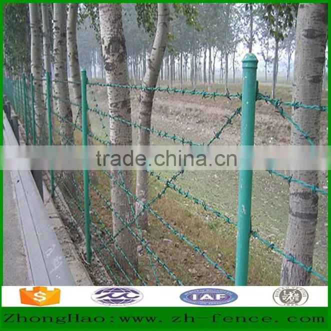 Factory direct sale hot dipped galvanized/PVC coated Barbed Wire Fence