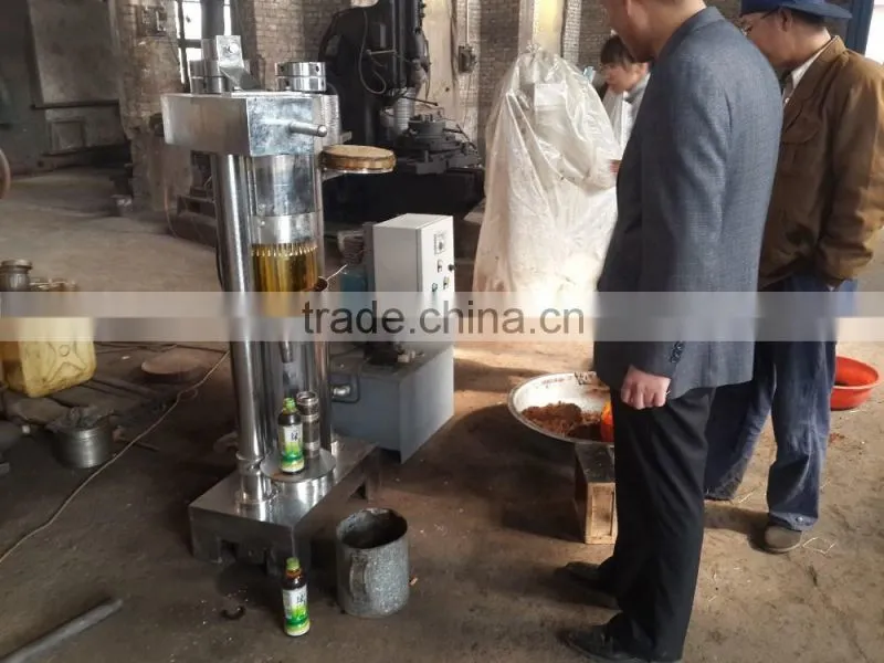 High oil-pressing ratio Hydraulic almond oil extraction machine for sale
