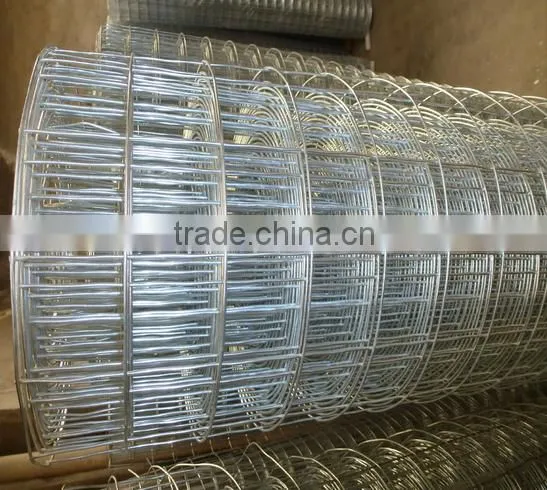SQ-304 welded wire mesh (Anping manufacture)
