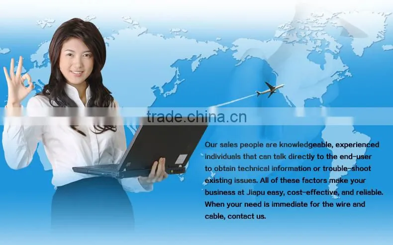 Hot Seller 300/500V PVC Insulated Wire With Reasonable Price
