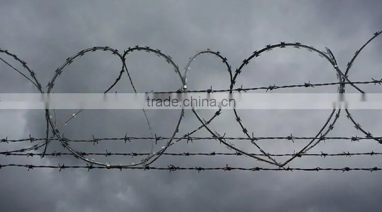 anping galvanized barbed wire for sale price from china