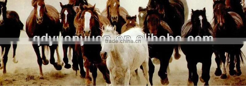 factory direct selling wholesale aluminum horseshoe