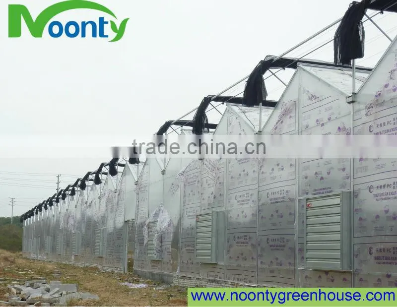 Multi span Greenhouse