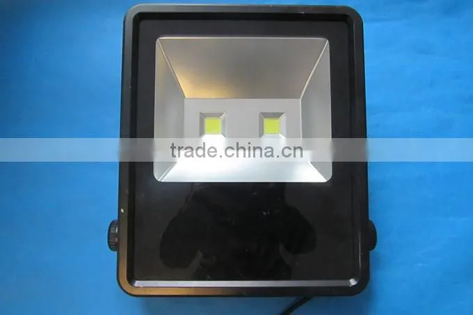Super Bright high power cob outdoor led flood light 100w for Landscape