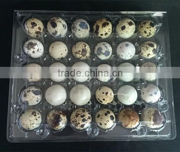 OUCHEN wholesale PVC clear plastic deviled egg carrier quail egg cartons 12 18 20 24 30 holes for sale