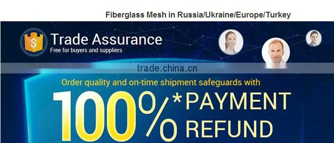 Fiberglass Mesh Tape/Fiberglass Wire Mesh/Fiberglass Plaster Mesh