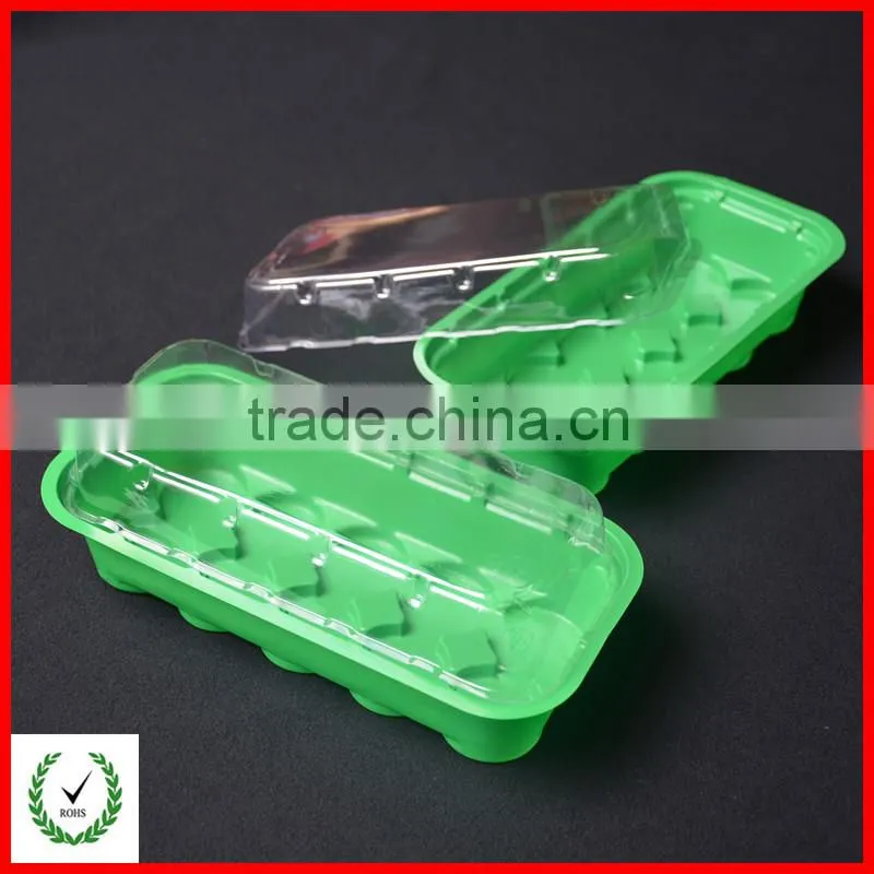 Clear plastic blister packaging