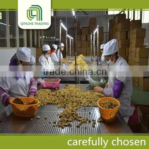 light pieces walnut kernels