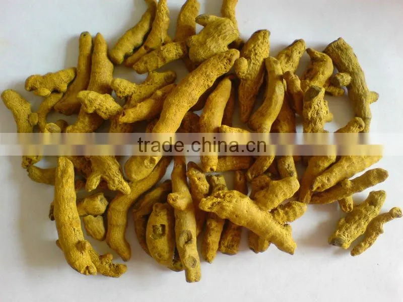 Dried Turmeric Finger